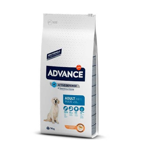 Advance Adult Maxi Pollo pienso para perros