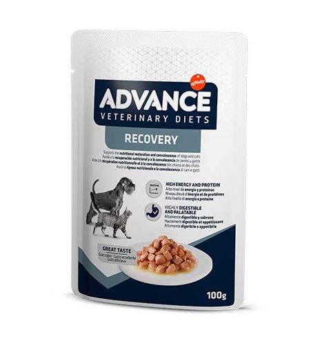 Advance Veterinary Diets Recovery sobre en salsa para perros y gatos