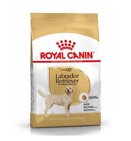 Royal Canin Labrador Retriever Adult pienso para perros