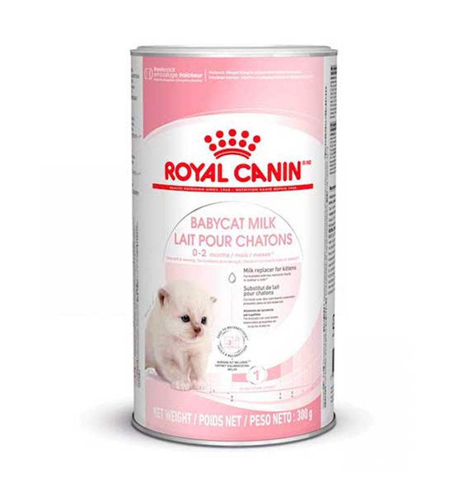 Royal Canin Babycat Milk leche en polvo para gatitos