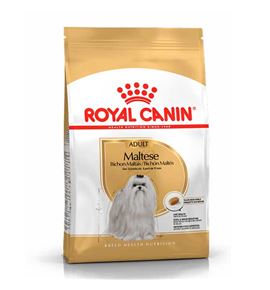 Royal Canin Bichón Maltés Adult pienso para perros