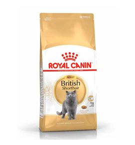 Royal Canin British Shorthair Adult pienso para gatos