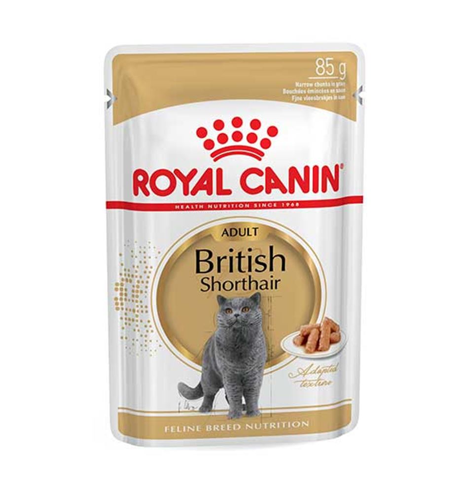 Royal Canin British Shorthair salsa en sobre para gatos