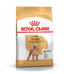 Royal Canin Caniche Adult pienso para perros