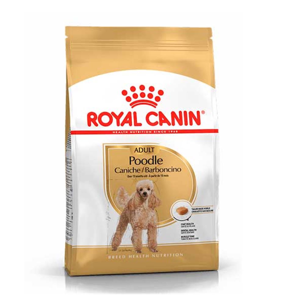 Royal Canin Caniche Adult pienso para perros