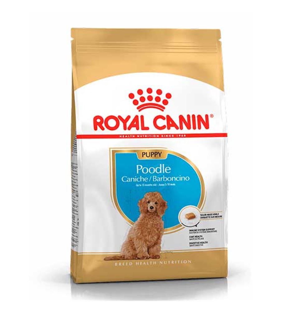 Royal Canin Caniche Puppy pienso para perros