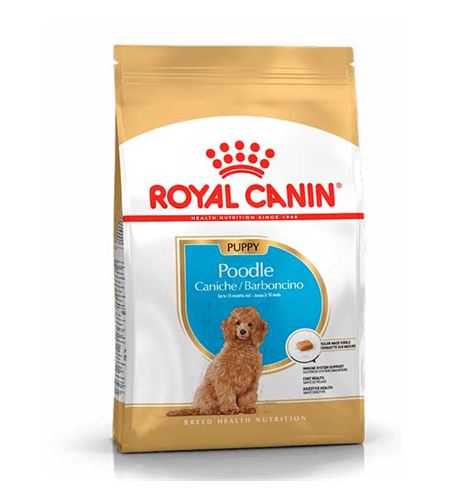 Royal Canin Caniche Puppy pienso para perros