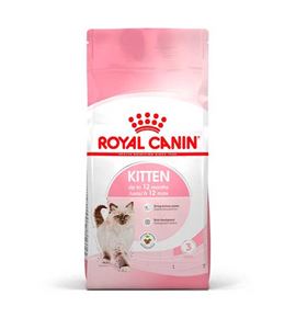 Royal Canin Kitten pienso para gatos