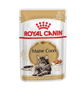 Royal Canin Maine Coon salsa en sobre para gatos