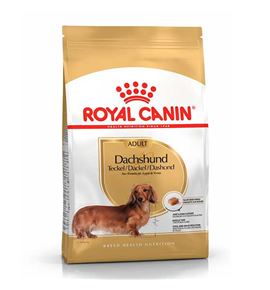 Royal Canin Teckel Adult pienso para perros