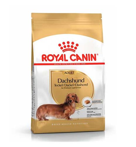 Royal Canin Teckel Adult pienso para perros