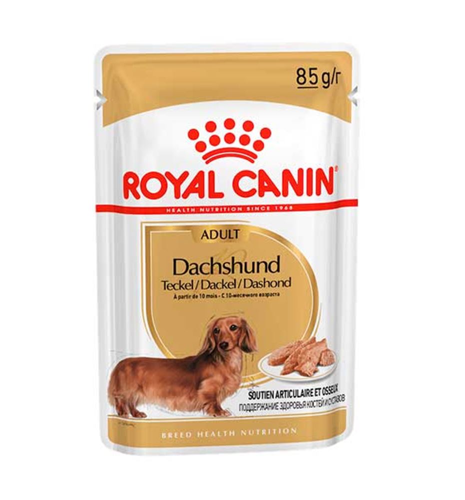 Royal Canin Teckel paté en sobre para perros