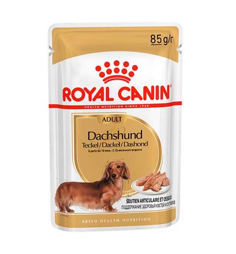 Royal Canin Teckel paté en sobre para perros