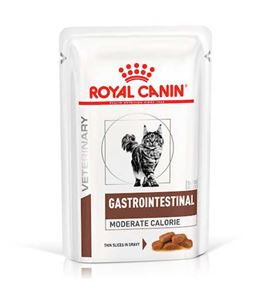 Royal Canin Veterinary Gastrointestinal Moderate Calorie salsa gatos