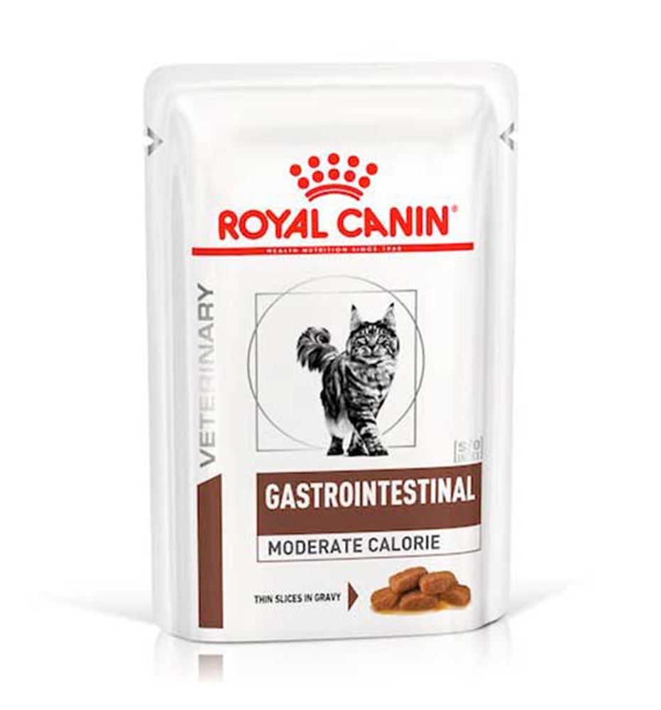 Royal Canin Veterinary Gastrointestinal Moderate Calorie salsa gatos