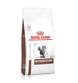 Royal Canin Veterinary Gastrointestinal pienso para gatos