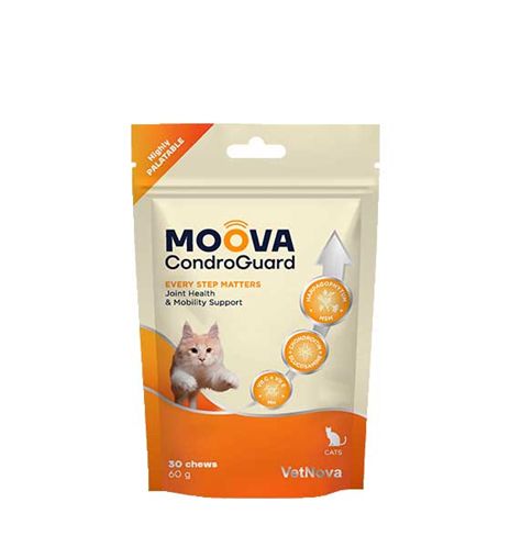 VetNova Moova CondroGuard condroprotector premios para gatos - 30 chews VetNova Moova CondroGuard condroprotector premios para gatos - 30 chews