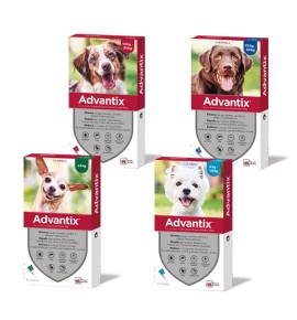Advantix Pipetas Antiparasitarias para perros
