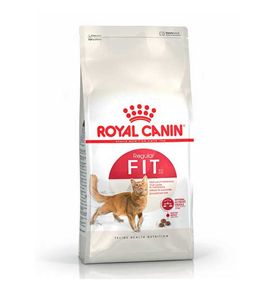 Royal Canin Fit 32 pienso para gatos