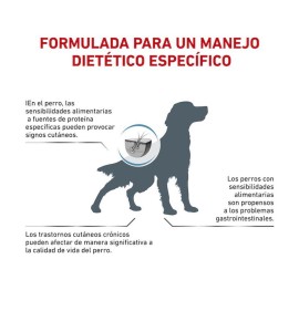 Royal Canin Veterinary Anallergenic pienso para perros - Fórmula