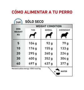 Royal Canin Veterinary Anallergenic pienso para perros - Guía de alimentación