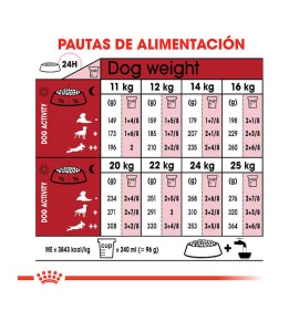 Royal Canin Medium Adult pienso para perros - Guía de alimentación