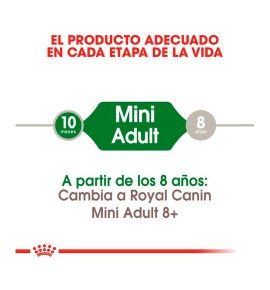 Royal Canin Mini Adult pienso para perros - Etapa