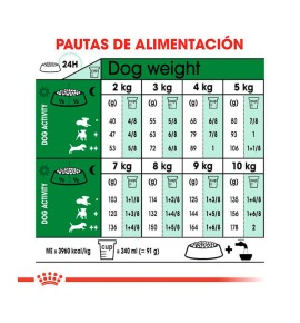 Royal Canin Mini Adult pienso para perros - Guía de alimentación