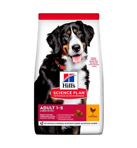 Hill's Science Plan Adult Large Breed Pollo pienso para perros