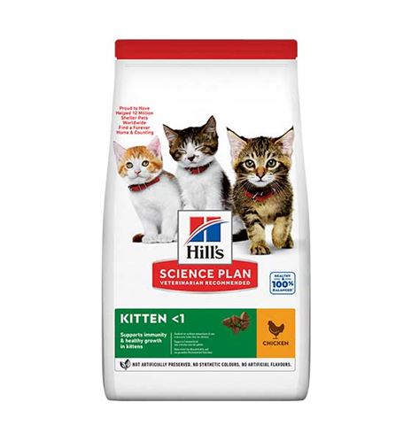 Hill's Science Plan Kitten Pollo pienso para gatos